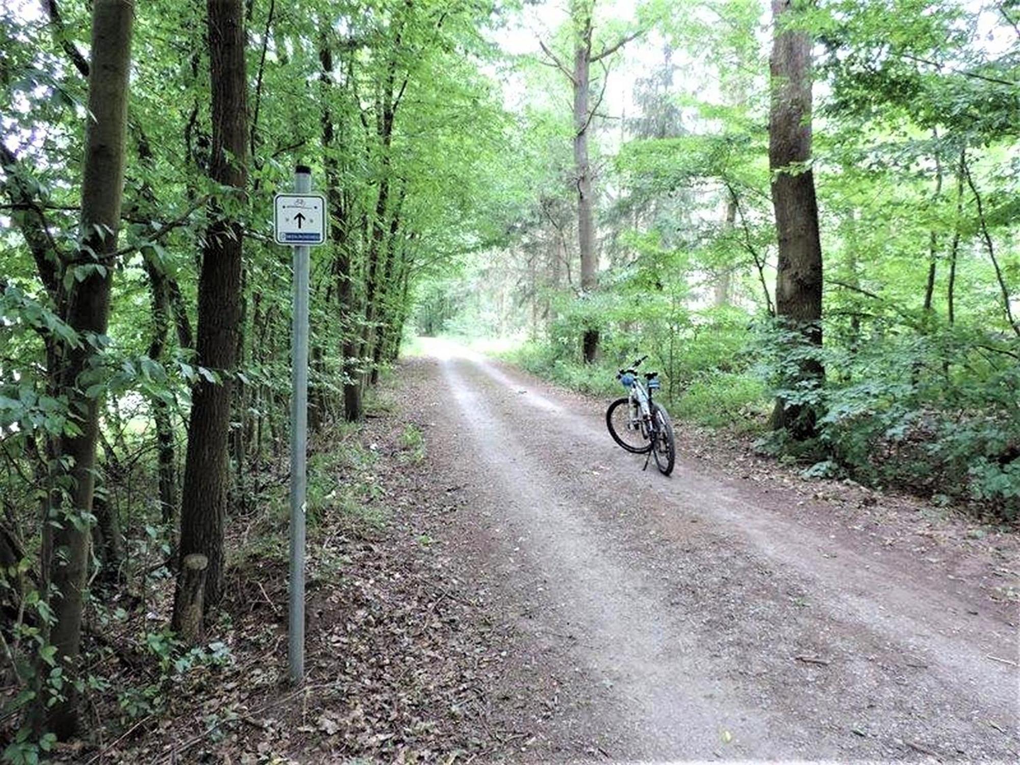 Ferienwohnung Landblick Homberg  Buitenkant foto
